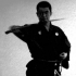 “Budo” & “Kobudo” of Japan (Samurai)